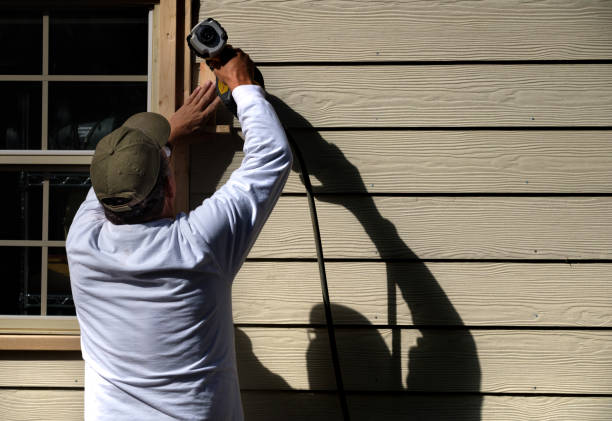 Best Siding Painting and Refinishing  in Ethete, WY